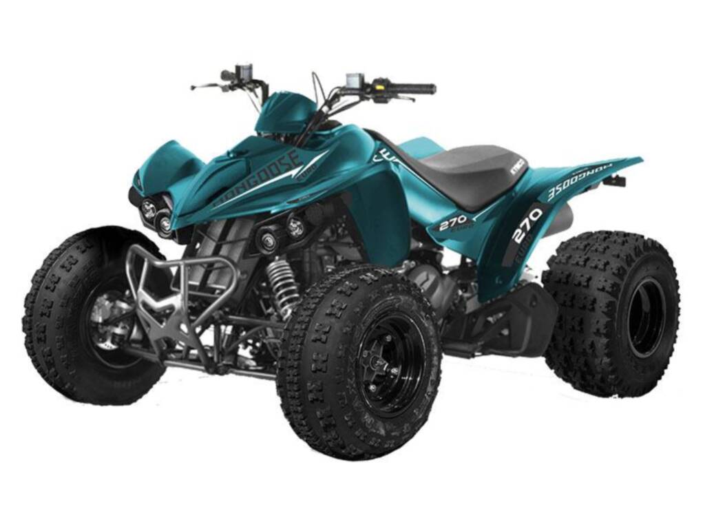 2021 Kymco Mongoose 270 Euro