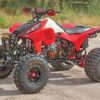 Honda TRX450R Desert Ripper
